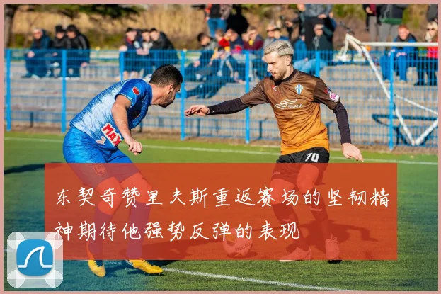 东契奇赞里夫斯重返赛场的坚韧精神期待他强势反弹的表现