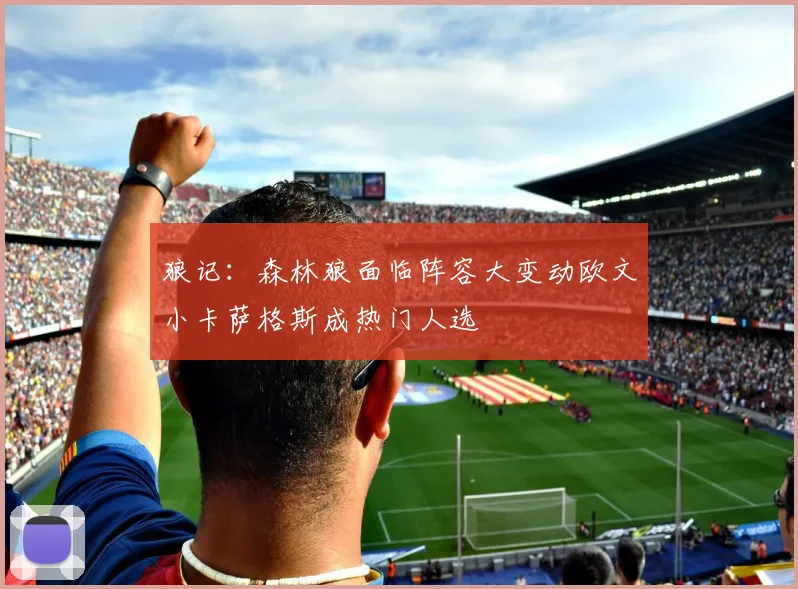 狼记：森林狼面临阵容大变动欧文小卡萨格斯成热门人选