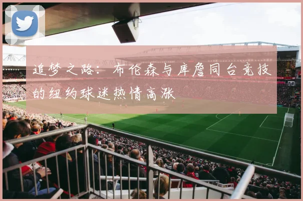 追梦之路：布伦森与库詹同台竞技的纽约球迷热情高涨